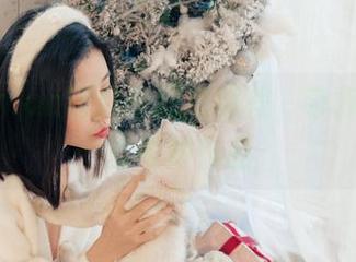 年年Nnian厨娘的网盘旅程，带你探秘那些奇妙作品
